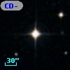 CD-39   554