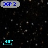 36P  2