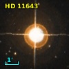 HR   554