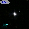 CD-39   605
