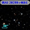 IRAS 20299+4601
