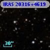 IRAS 20316+4619