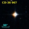 CD-36   967