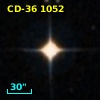 CD-36  1052