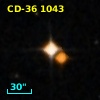 CD-36  1043