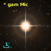 * gam Mic