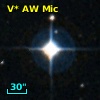 V* AW Mic