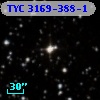 TYC 3169-388-1