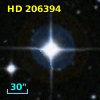 HD 206394