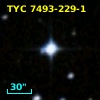 TYC 7493-229-1