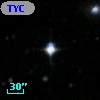TYC 7995-202-1