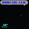 [EM96] COS-1116