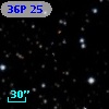 36P 25