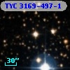 TYC 3169-497-1