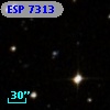 ESP  7313