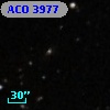 ACO  3977