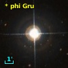* phi Gru