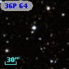 36P 64