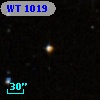 WT 1019