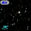 IRAS 20466+4917