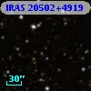 IRAS 20502+4919