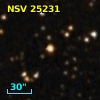 NSV 25231