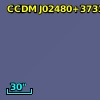 BD+36   559B