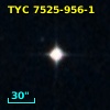 GSPC S294-D