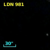 LDN  981