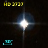 HD   3737