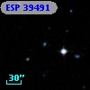 ESP 39491