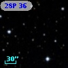 28P  36