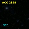 ACO  2828