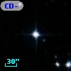 CD-39   200