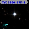 TYC 3600-175-1