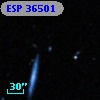 ESP 36501
