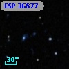 ESP 36877