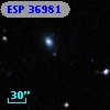 ESP 36981