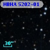 HBHA 5202-01