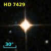 HD   7429