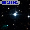 HD 203502
