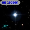 HD 202066