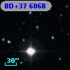 BD+37   606B