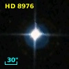 HD   8976