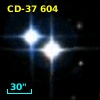 CD-37   604