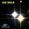 HD   9918