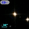 CD-39   482