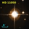 HR   528