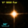 V* WW For