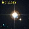 LTT   982